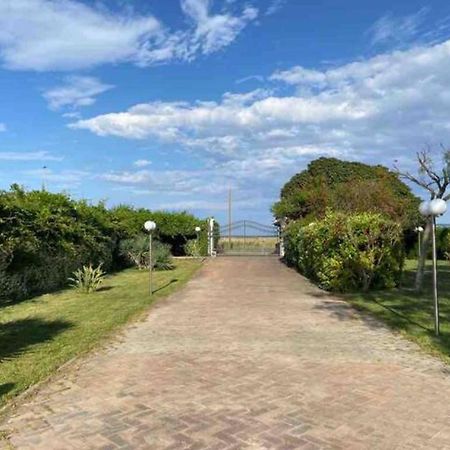 Villa Rosella Appartamento 2 - Con Piscina - 150 M Dal Mare Casa Margherita Ngoại thất bức ảnh